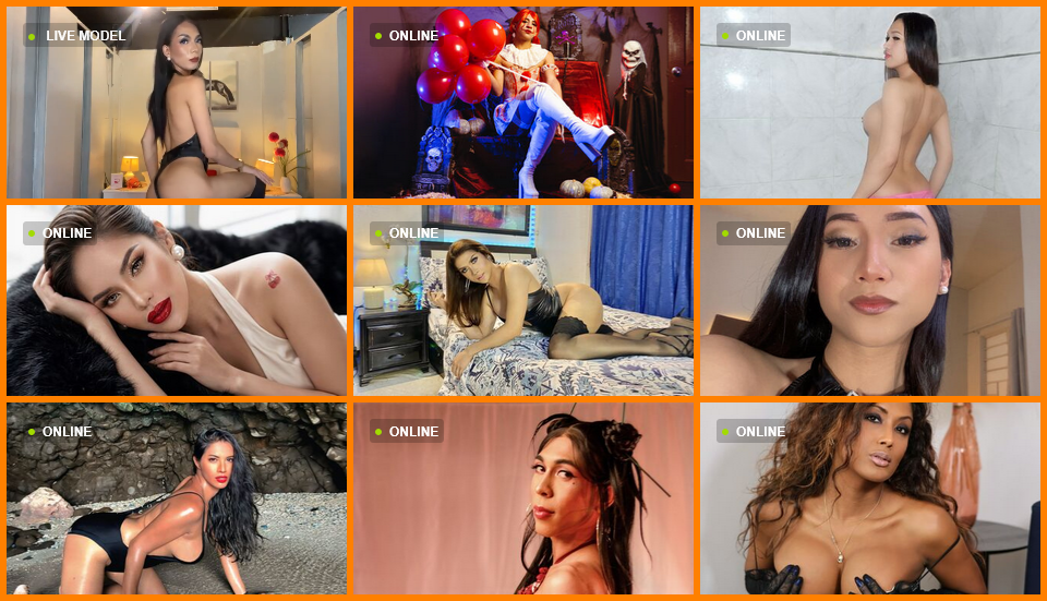 Live Hung Ladyboy Cams